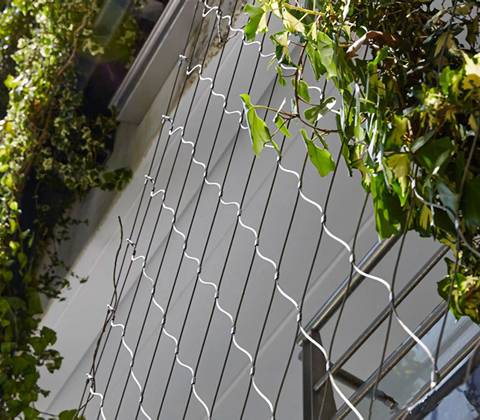Plants grows on the wire rope mesh building facade.