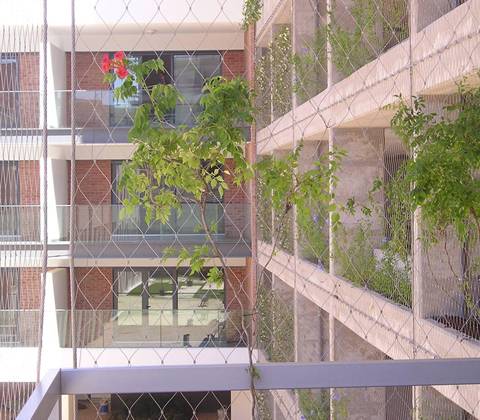 Wire rope mesh installed on every window, and some plants grow on it.