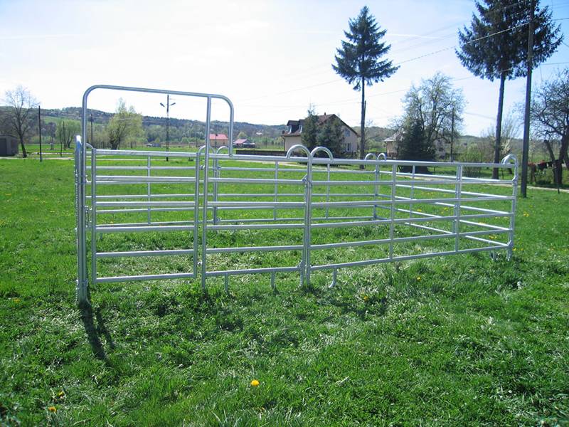 Several galvanized pipe horse fence panels connected to form a fence.