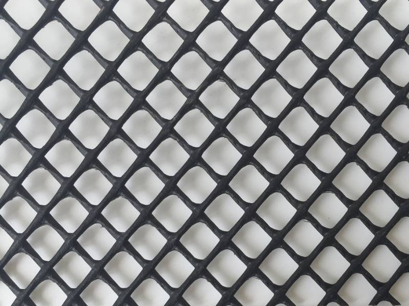 a piece of black diamond mesh hole extruded aquaculture netting.