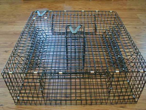 Black lobster trap with four-way harness for crab to access but difficult to escape.