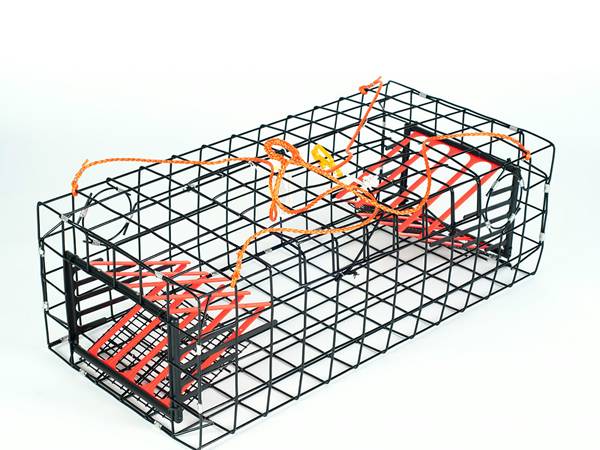 Lobster Trap Is Particular Design to Catch Lobster, Shrimp and Crab