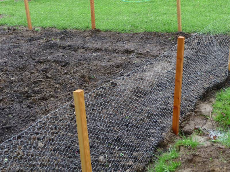 posts for chicken wire fence posts for chicken wire fence
