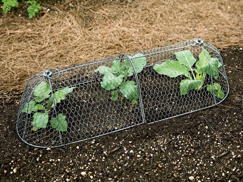 chicken wire for garden chicken wire for garden