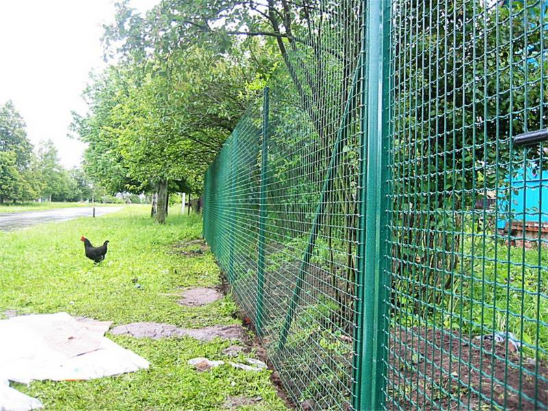 PVC Coated Welded Holland Fence/ Euro Fence/Wire Mesh Fence - China Holland  Wire Mesh, Wavy Holland Wire Netting