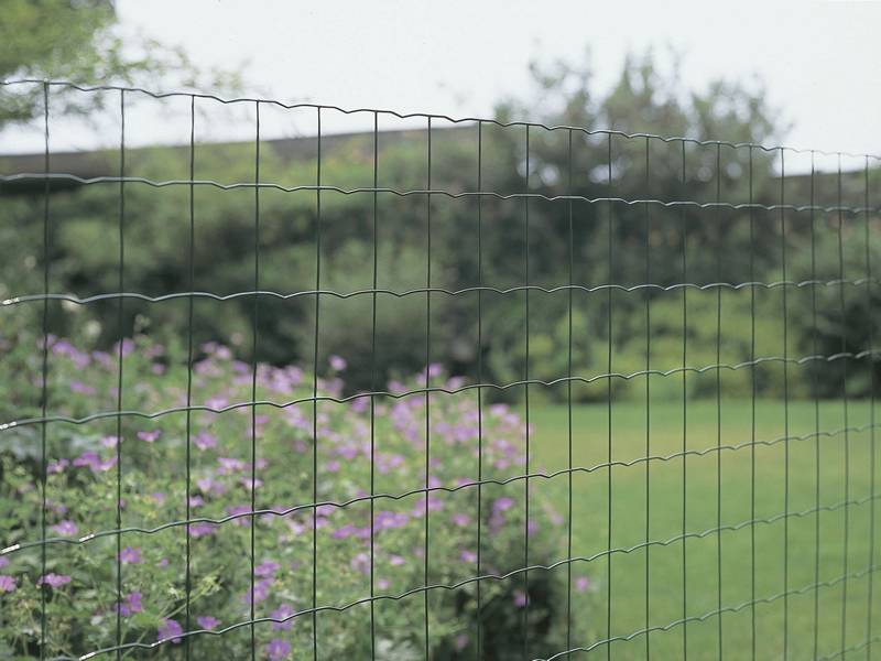 A close-up picture of Euro fence installed for garden protective fencing.