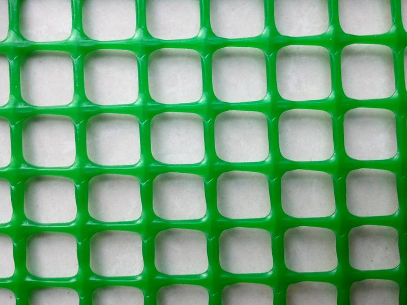 Plastic Mesh for Protecting Tree, Grass, Chicken, Duck, Flower and Crop