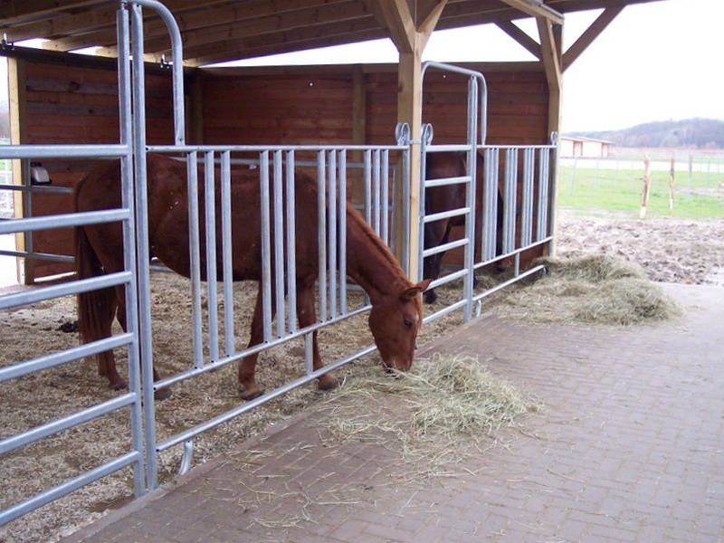 Safe house fence popular used for horse fencing and feeding.