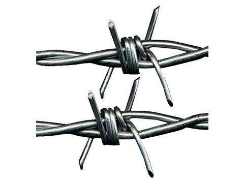 Barbed wire drawing.