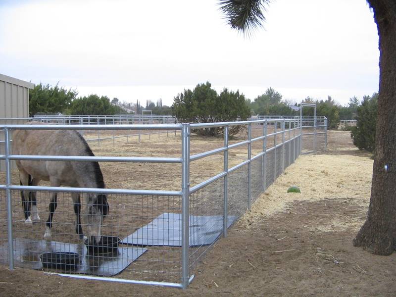 Galvanized welded wire horse fence for horse fencing.